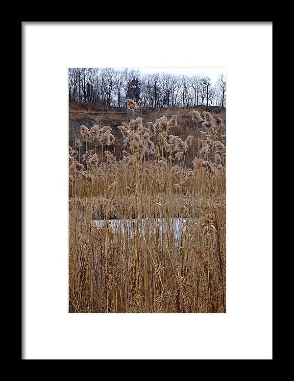 Nature Framed Print featuring the photograph Quarry Whisps And Pond by Kreddible Trout