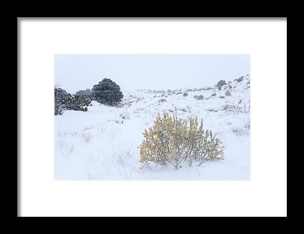 Landscapes Framed Print featuring the photograph Quiet New Mexico Landscape by Mary Lee Dereske