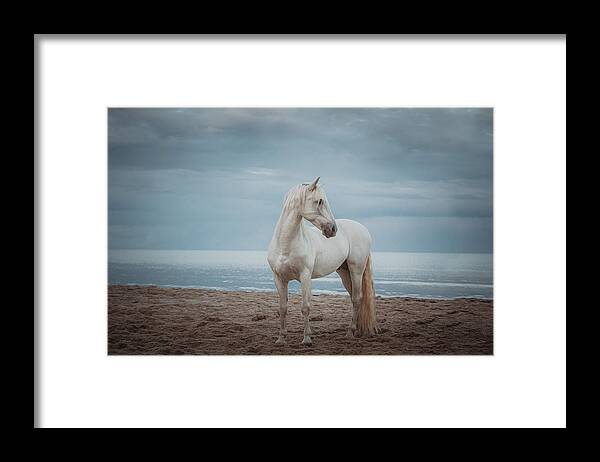 Photographs Framed Print featuring the photograph Quiet Storm - Horse Art by Lisa Saint