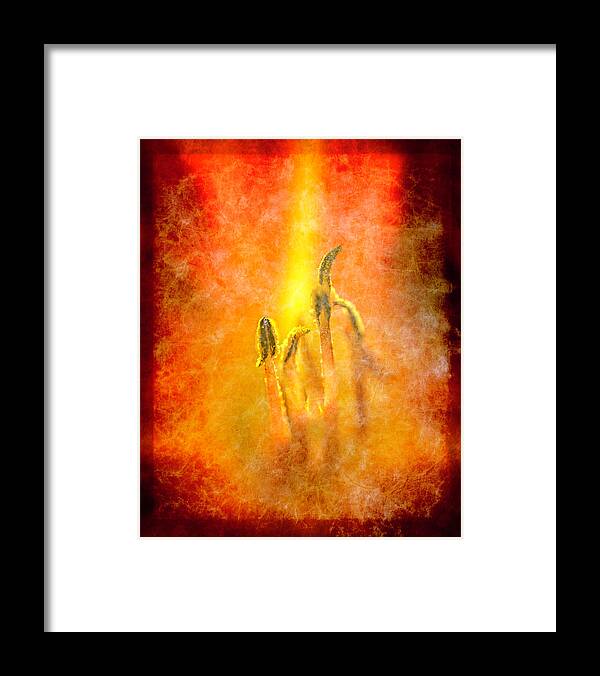 Art Framed Print featuring the photograph Raging Fire by Norman Reid