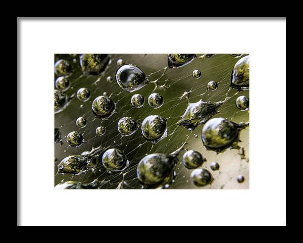 Rain Framed Print featuring the photograph Rain Drop Reflections by Amelia Pearn
