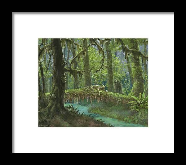 Rainforest Framed Print featuring the painting Rainforest Afternoon by Don Morgan
