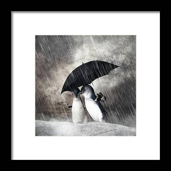 Penguin Framed Print featuring the mixed media Rainy Date by Ed Taylor