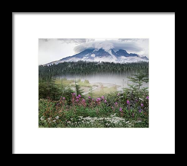 Mountain Framed Print featuring the photograph Rainy Day at Mt. Rainier by Shara Abel
