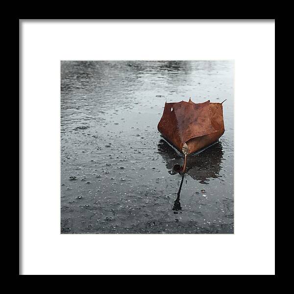  Framed Print featuring the photograph Rainy day umbrellas by Lisa Burbach
