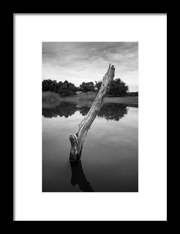 San Diego Framed Print featuring the photograph Ramona Grasslands Preserve Log by William Dunigan