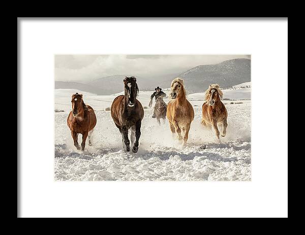 Horses Framed Print featuring the photograph Head Em Up by Dawn Key