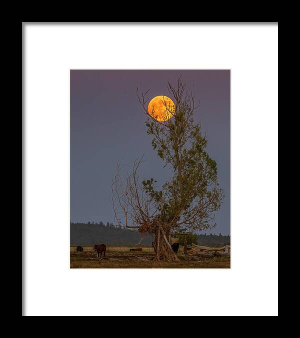 Lassen Framed Print featuring the photograph Ranch Moon by Mike Lee