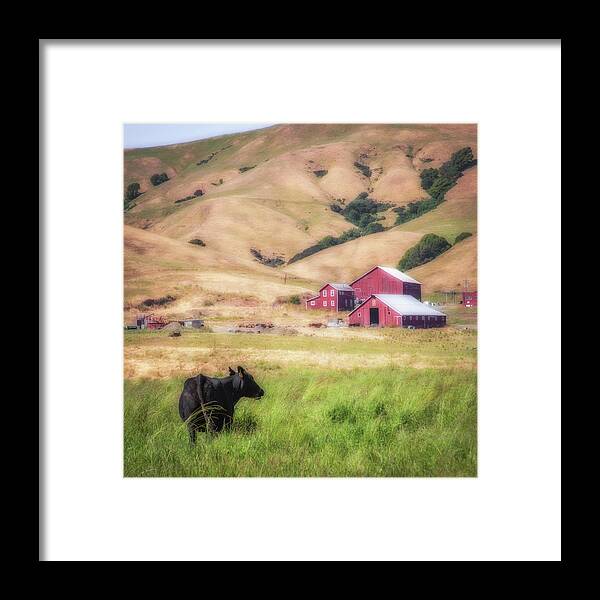 Ranch Framed Print featuring the photograph Ranch on Hick's Valley Road by Donald Kinney