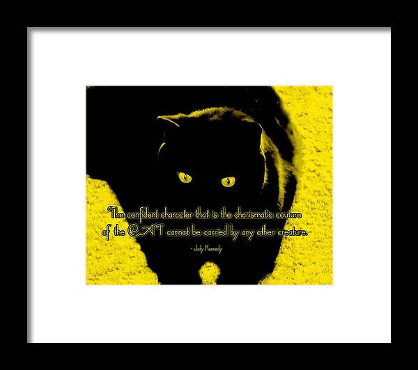 Cat Framed Print featuring the photograph Raven Chic by Judy Kennedy