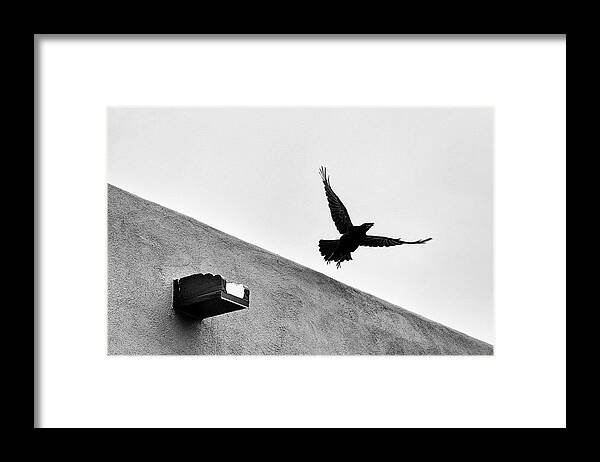 Black And White Framed Print featuring the photograph Raven Flies Away by Mary Lee Dereske