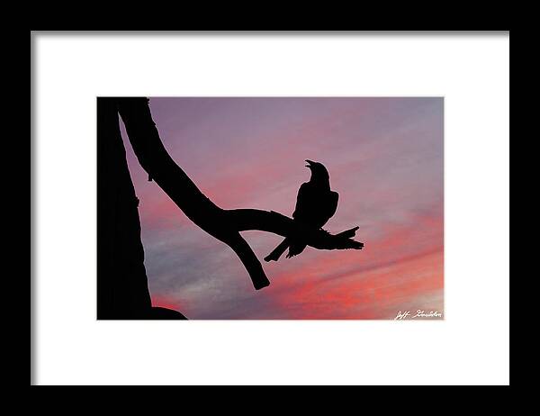 Adult Framed Print featuring the photograph Raven Silhouette by Jeff Goulden