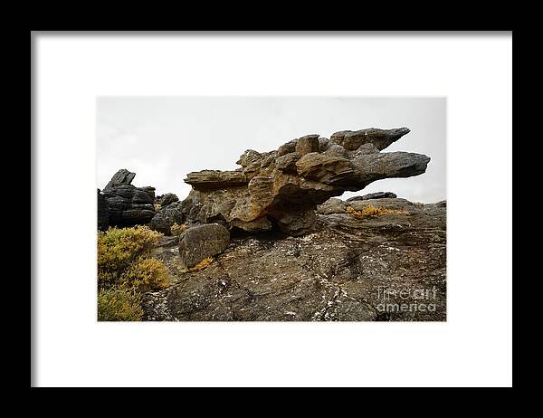 Rock Framed Print featuring the photograph Reach by Russell Brown
