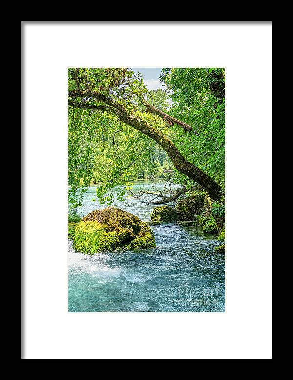 Big Spring Framed Print featuring the photograph Reaching Over Big Spring by Jennifer White