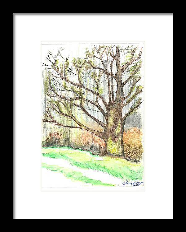 Trees Framed Print featuring the painting Reaching by Patricia Arroyo