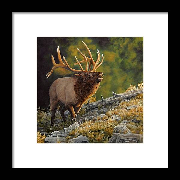 Elk Framed Print featuring the painting Ready To Challenge - Bull Elk by Johanna Lerwick