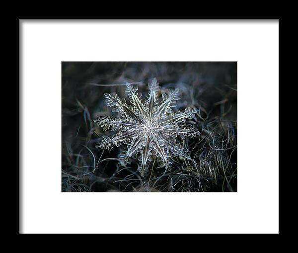 Snowflake Framed Print featuring the photograph Real snowflake 2014-01-26_5568-76_Electra by Alexey Kljatov