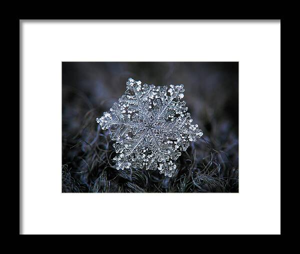 Snowflake Framed Print featuring the photograph Real snowflake 2018-12-26_2 by Alexey Kljatov
