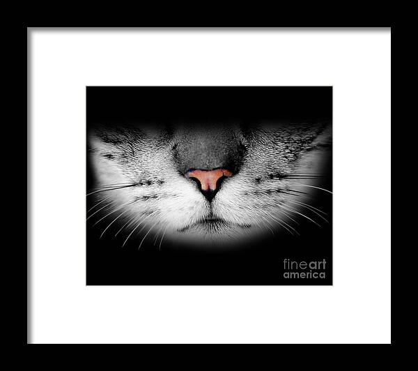 Cat Framed Print featuring the digital art Realistic Cute Furry Cat Face by Laura Ostrowski
