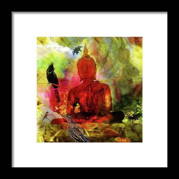 Phainopepla Framed Print featuring the photograph Red Buddha With Birds by Perry Hoffman