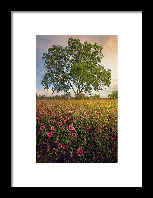 Indian Blanket Framed Print featuring the photograph Red Carpet by Slow Fuse Photography