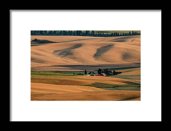 Farm Framed Print featuring the photograph Red Farmhouse in the Wheat Fields by Connie Carr