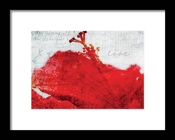 Valentine Framed Print featuring the digital art Red Flower of Love by Moira Law