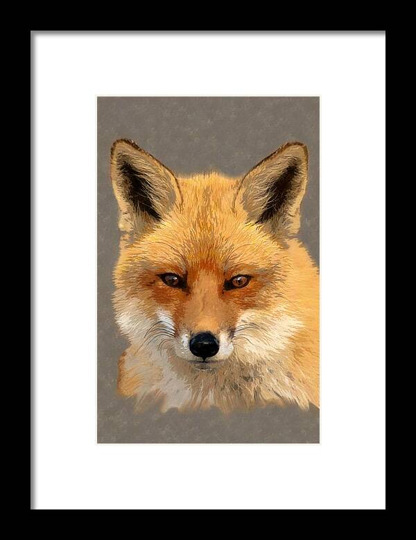 Nature Framed Print featuring the mixed media Red Fox by Judy Cuddehe