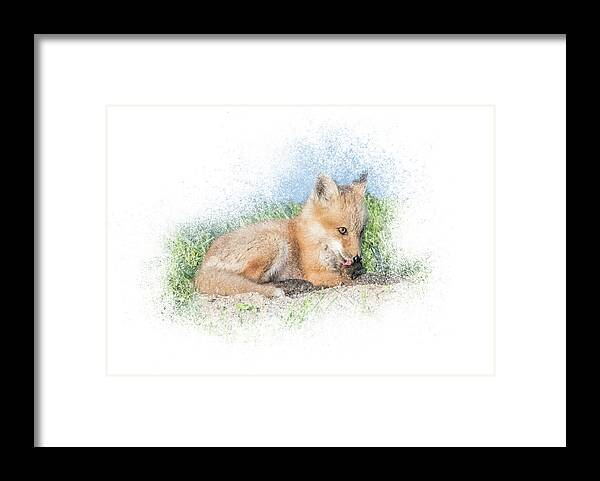 Fox Framed Print featuring the mixed media Red Fox Kit #8 - Paw Lick by Patti Deters