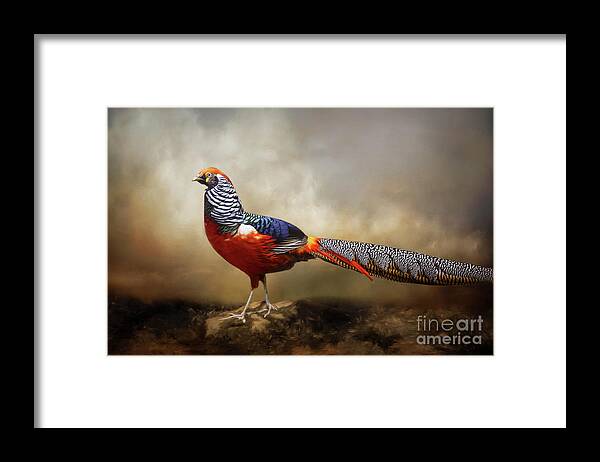 Red Golden Pheasant Framed Print featuring the mixed media Red Golden Pheasant by Kathy Kelly
