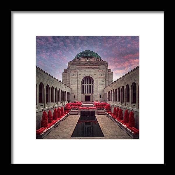 Canberra City Framed Print featuring the photograph Red Poppies by Ari Rex