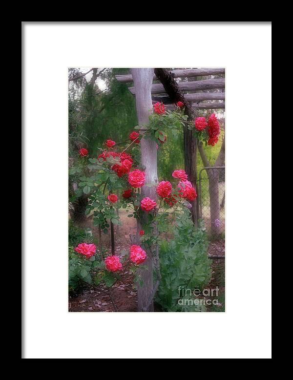 Elaine Teague Framed Print featuring the photograph Red Rose Dream by Elaine Teague