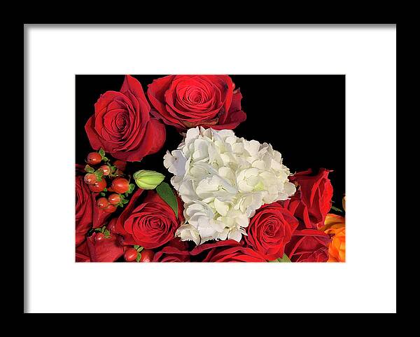 Red Framed Print featuring the photograph Red Roses and White Hydrangea by Diane Lindon Coy
