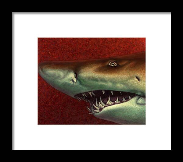 Shark Framed Print featuring the painting Red Sea Shark by James W Johnson