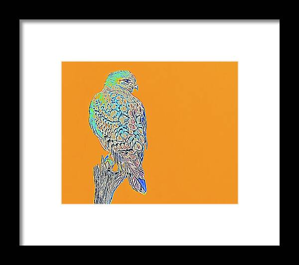 Red Shouldered Hawk Perched Framed Print featuring the digital art Red Shouldered Hawk Abstract by Rebecca Herranen