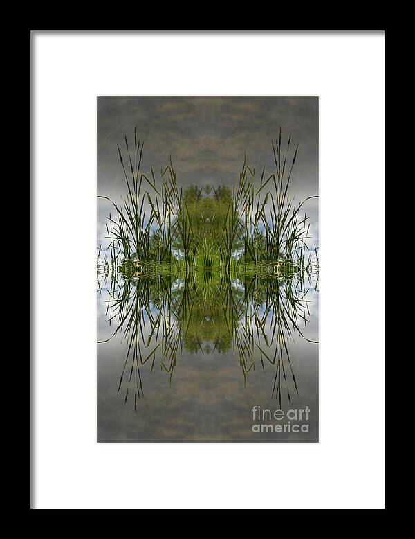 Reed Framed Print featuring the digital art Reed leaves, water and symmetry 3 by Adriana Mueller
