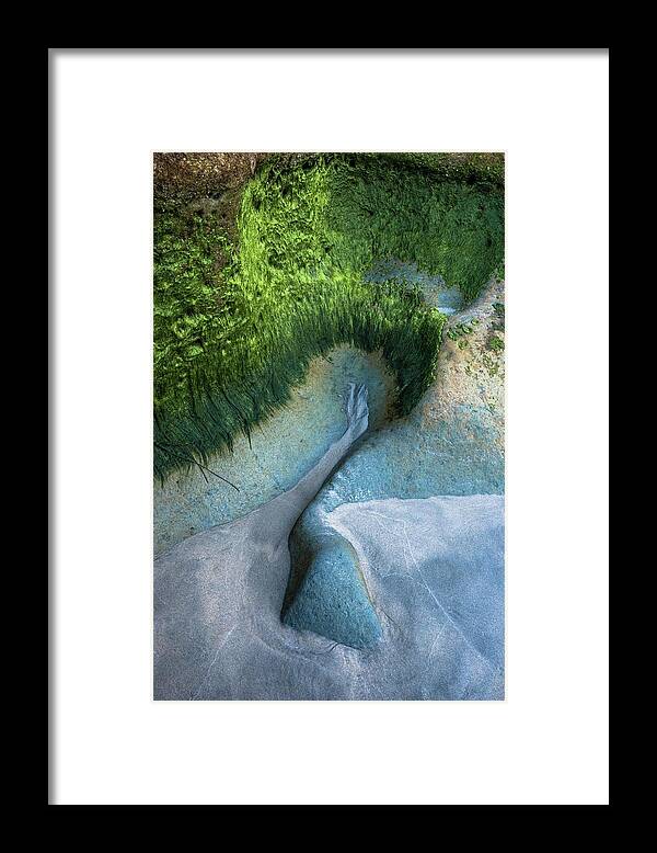 Tabletop Reef Framed Print featuring the photograph Reef Symmetry by Alexander Kunz