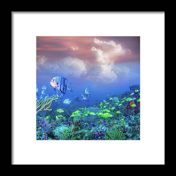Undersea Framed Print featuring the photograph Reef Under the Sea and Sky by Debra and Dave Vanderlaan