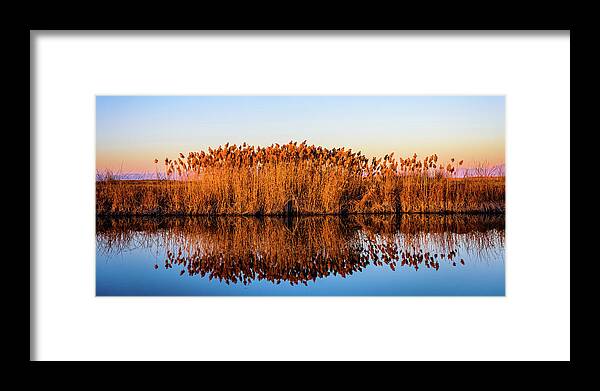 Fine Art Framed Print featuring the photograph Reflection on Blue by Bryan Carter