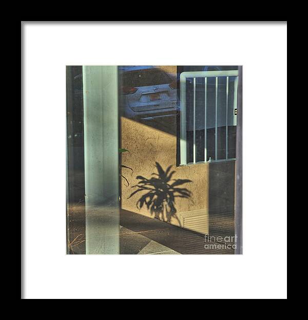 Reflections Framed Print featuring the photograph Reflections and Shadows by Kae Cheatham