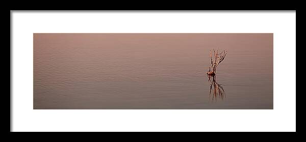 Water Framed Print featuring the photograph Reflections by Brad Barton