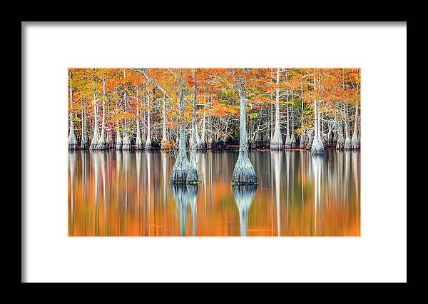 Reflections Framed Print featuring the photograph Reflections by Kevin McClish