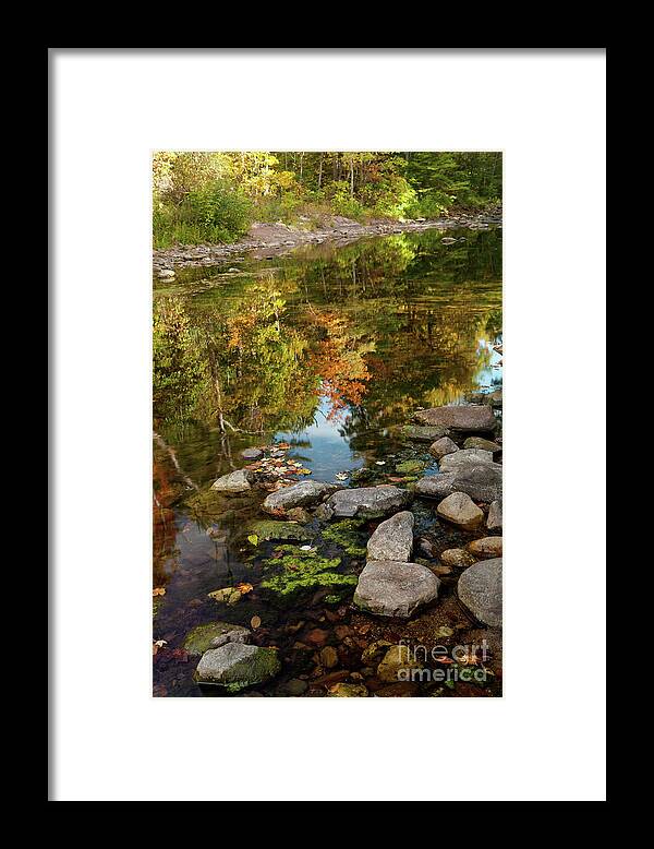 Stream Framed Print featuring the photograph Reflections of Fall by Nicki McManus