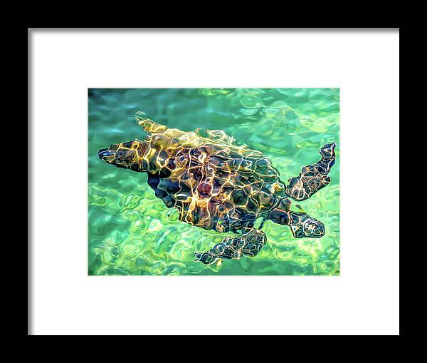 David Lawson Photography Framed Print featuring the photograph Refractions - Nature's Abstract by David Lawson