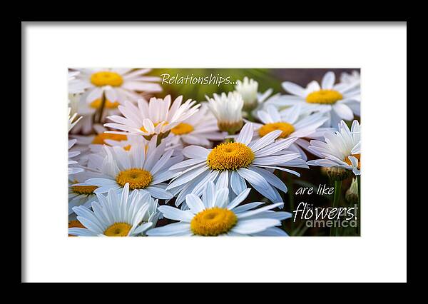 Plant Framed Print featuring the photograph Relationships by Jean OKeeffe Macro Abundance Art