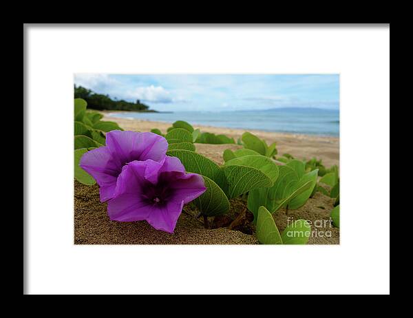 Maui Framed Print featuring the photograph Relaxing Flowers in the Sand by Wilko van de Kamp Fine Photo Art