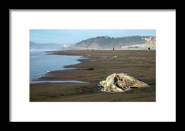 Bones Framed Print featuring the photograph Remnant of the Sea by Bonnie Follett