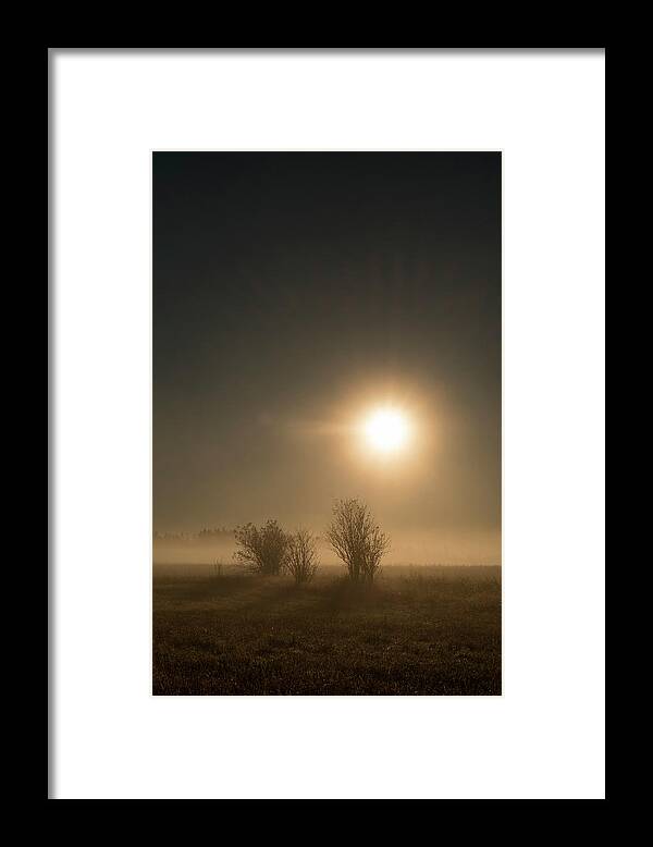 Sun Framed Print featuring the photograph Renaissance Light on Misty Field by Mary Lee Dereske