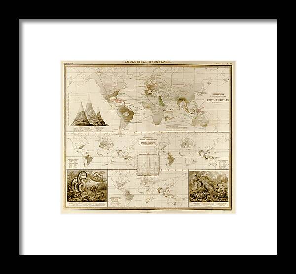 Maps Framed Print featuring the drawing Reptiles Serpents Ophidia of the World by Vintage Maps