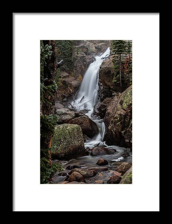 Fine Art Framed Print featuring the photograph Resilience and Grace by Kim Sowa